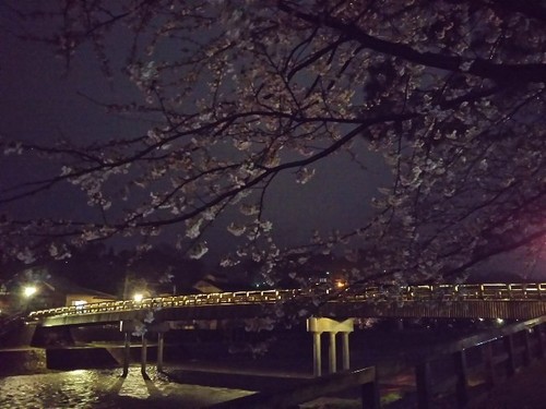 20200401 桜8梅の橋.jpg