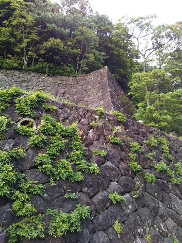 20200516 7金沢城公園本丸南面の高石垣.jpg