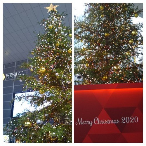 20201107 クリスマスツリー＠片町きらら.jpg