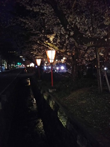 20210402 桜＠広坂.jpg