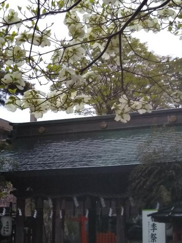 20210417 尾崎神社.jpg