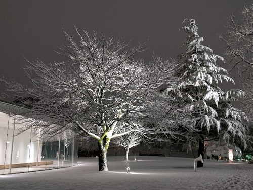 20220113 雪の金沢21世紀美術館.JPG