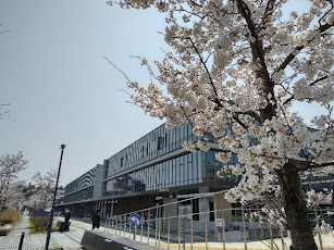 20220402 桜＠裁判所.JPG